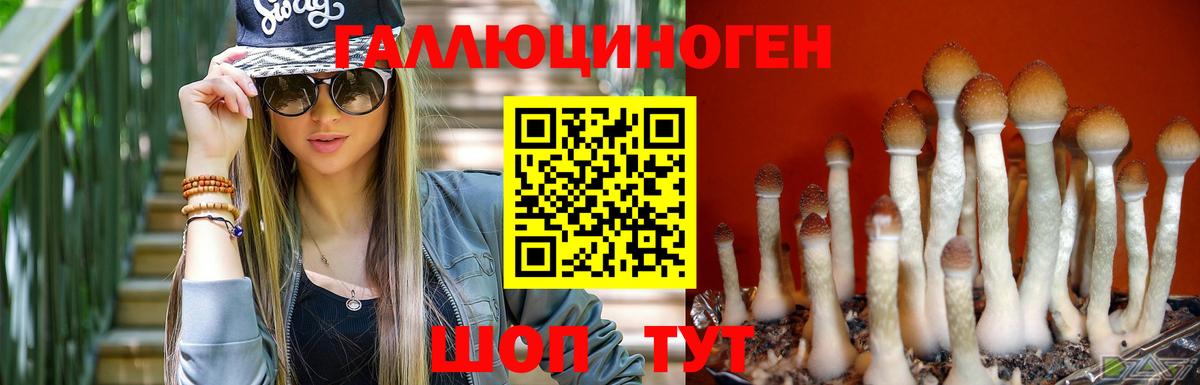 Псилоцибиновые грибы GOLDEN TEACHER Звенигород